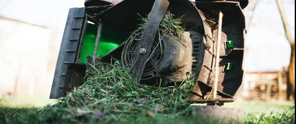 Clogged mowed after mowing wet grass in Austin, TX.