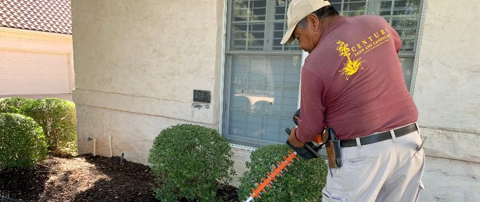 Employee from lawn care company trimming plants in Austin, TX.