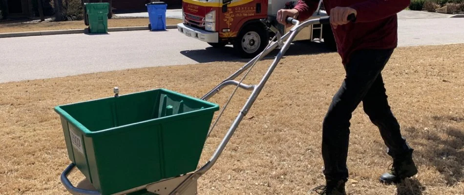 A lawn care provider applying fertilizer to a lawn in Austin, TX, after a grub infestation.