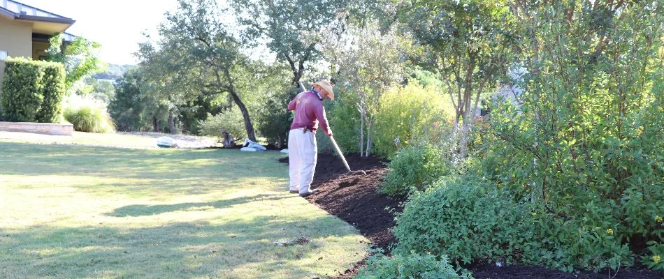 Landscape professional spreading new mulch on a landscape bed in Austin, TX.