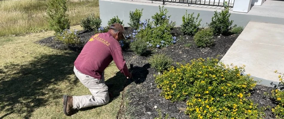 Worker installing mulch on a landscape bed in Barton Creek, TX.